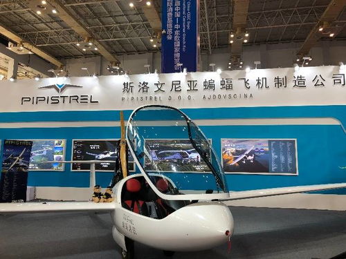 高技術與特色產品亮相中東歐博覽會，推動國際技術開發合作